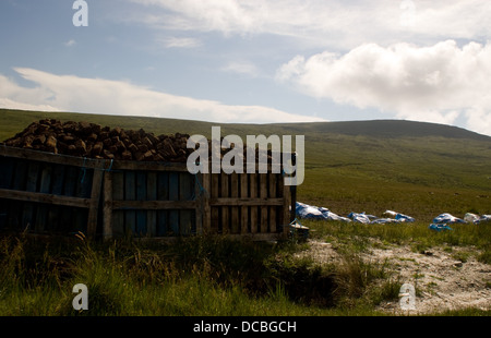 Irischer Torf aus dem Moor in einem hölzernen Behälter gestapelt in der Grafschaft Donegal. Stockfoto