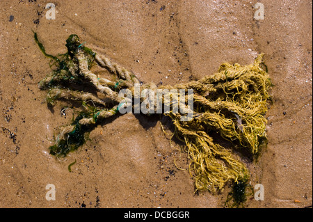 Verknoteten Stück Seil in der Form eines Bug gewaschen oben am Strand von Seaton Carew Hartlepool Stockfoto