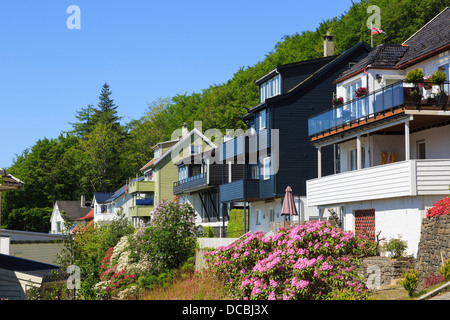 Typisch norwegisch hölzernen Häusern mit kleinen Gärten an einem steilen Berg Floyen Hang in Bergen, Hordaland, Norwegen, Skandinavien Stockfoto