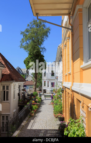 Norwegische Häuser und engen Straße am steilen Hang des Mount Floyen in Bergen, Hordaland, Norwegen, Skandinavien Stockfoto