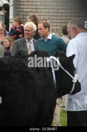 Anglesey, Wales, UK. 14. August 2013. Prinz William trifft auf Anglesey Agricultural Show in North Wales, UK © Gari die Öffentlichkeit Stockfoto