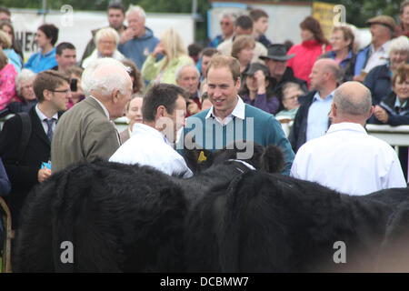 Anglesey, Wales, UK. 14. August 2013. Prinz William trifft auf Anglesey Agricultural Show in North Wales, UK © Gari die Öffentlichkeit Stockfoto