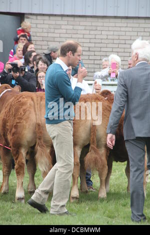 Anglesey, Wales, UK. 14. August 2013. Prinz William trifft auf Anglesey Agricultural Show in North Wales, UK © Gari die Öffentlichkeit Stockfoto