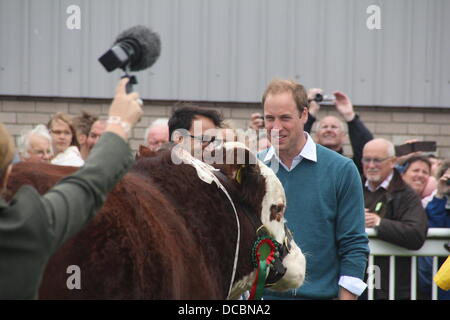 Anglesey, Wales, UK. 14. August 2013. Prinz William trifft auf Anglesey Agricultural Show in North Wales, UK © Gari die Öffentlichkeit Stockfoto