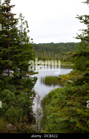 Versteckten See, Isle Royale National Park, Michigan, Vereinigte Staaten von Amerika Stockfoto