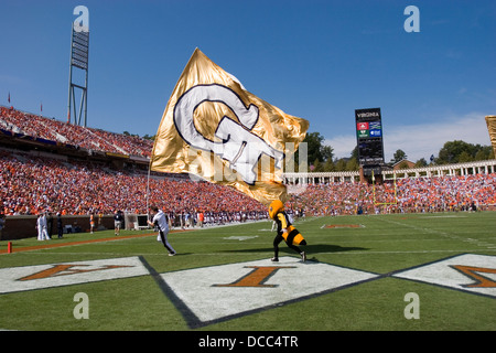 Georgia Tech feiert nach seinem Tor einen Touchdown auf UVA. Virginia Cavaliers Football-Team konfrontiert der Georgia Tech Yellow Jackets im Scott Stadium in Charlottesville, VA am 22. September 2007. Stockfoto