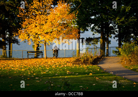 Das romantische Paar hat die Aussicht vom Burnaby Mountain Park. Herbstlaub auf dem Boden. In Burnaby, British Columbia, Kanada (Metro Vancouver). Stockfoto