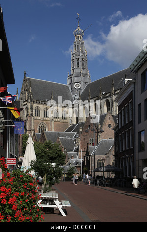 Die Grote Kerk oder St.-Bavokerk, evangelische Kirche, ehemalige katholische cathedral,Haarlem,Netherlands.built und umgebaut von 1307-1479 Stockfoto