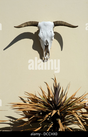 Südafrika, in der Nähe von Elands Bay an der Westküste ca. 2 Stunden nördlich von Kapstadt. 2009. Stockfoto