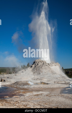 Gayser Ausbruch im Castle Geysir im Yellowstone-Nationalpark Stockfoto