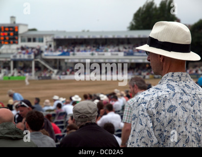 Ein Mann betrachtet ein Cricket-Match auf der Anzeigetafel Stockfoto