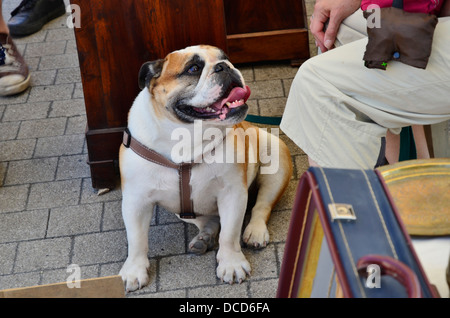 L'Isle sur la Sorgue hosts messen Antiquitäten' an Ostern und über den 15. August Urlaub, einen weltweiten Ruf zu dieser kleinen Stadt gegeben haben. Stockfoto