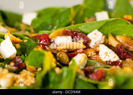 Spinat-Salat Stockfoto
