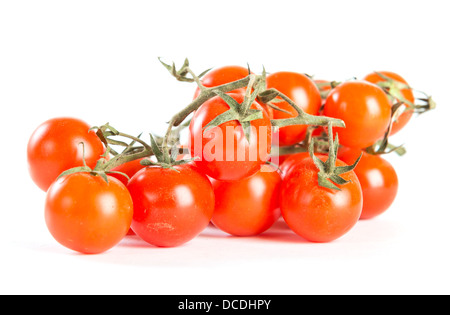 Cherry-Tomaten auf AST auf weiß Stockfoto