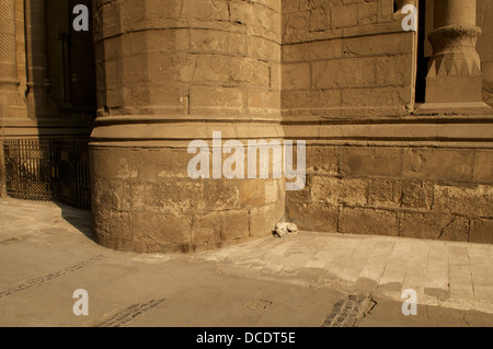 Am Fuße der schlafenden Hund ein Widerlager der Sultan-Hassan-Moschee in Kairo, Ägypten. Stockfoto