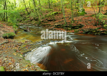 Wirbelt im Mai Beck fließt durch Sneaton Wald in den North York Moors National Park Stockfoto