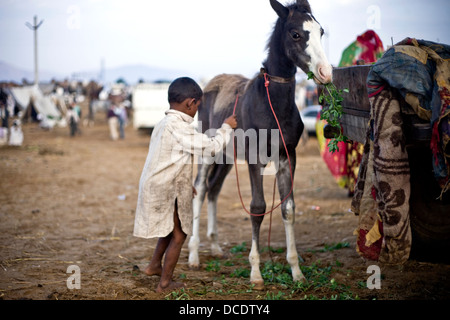 Junge und Pferd in Pushkar Camel fair Stockfoto