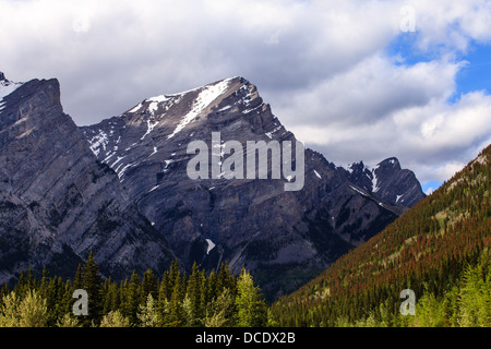 Mount Kidd, Peter Lougheed Provincial Park, Alberta mit Kiefer Käfer betroffen Bäume auf der rechten unteren Ecke. Stockfoto