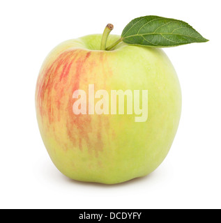 Apple ein Blatt auf weißem Hintergrund Stockfoto