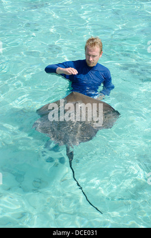 Ein Tourist mit spielen und füttern ein Stachelrochen, klares Himantura Fai, in flachen, Wasser der Lagune von Bora Bora. Stockfoto