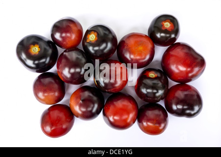 Frische schwarze Tomaten auf weißem Hintergrund dargestellt Stockfoto