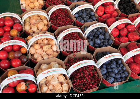 Früchte-Display, Jean Talon Market, Montreal, Quebec, Kanada Stockfoto