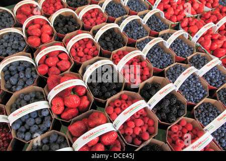 Früchte-Display, Jean Talon Market, Montreal, Quebec, Kanada Stockfoto