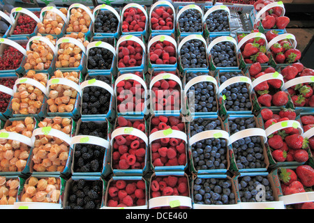 Früchte-Display, Jean Talon Market, Montreal, Quebec, Kanada Stockfoto