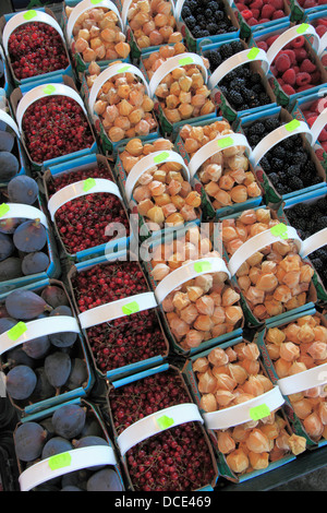 Früchte-Display, Jean Talon Market, Montreal, Quebec, Kanada Stockfoto