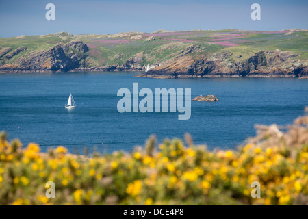 Boot segeln vor Skomer Island von Deer Park Pembrokeshire West Wales UK Stockfoto