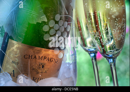 Frisch gegossen zwei Gläser Champagner Flasche auf Eis kühlen in graviertem Kristall Glas Wein Kühler in freien Fall Stockfoto