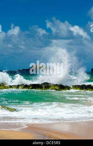 USA, Kauai, Hawaii. Eine Welle bricht auf den Felsen am Kauapea Strand, im Volksmund bekannt als Secret Beach. Stockfoto