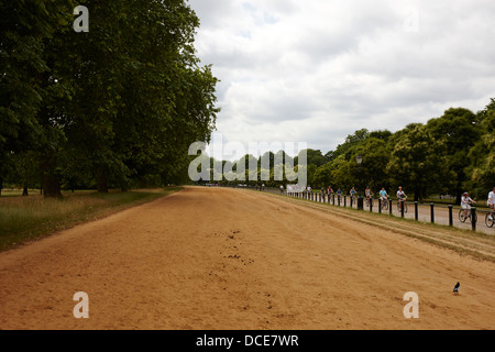Breite Rotten Row verfolgen Hyde Park London England UK Stockfoto