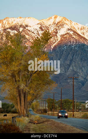 Straße in Round Valley, östlichen Sierra, Kalifornien Stockfoto