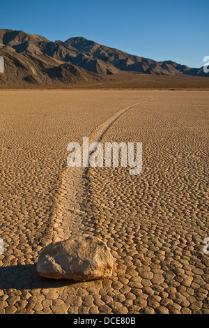 Spuren von geheimnisvollen beweglichen Felsen auf dem getrockneten flachen Schlamm im Racetrack Playa, Death Valley Nationalpark, Kalifornien Stockfoto