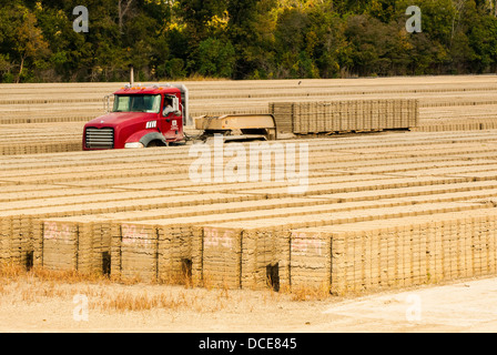 USA, Louisiana, St. Francisville, US Army Corps of Ingenieure-St. Francisville Matte Gießen Feld. Stockfoto