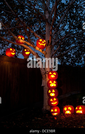 Halloween-Kürbisse, die Flucht vor eine Birke Klettern und springen über Zaun Stockfoto