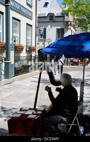 Eine Harfenistin spielt in den Straßen von Quebec Stadt, Quebec, Kanada Stockfoto