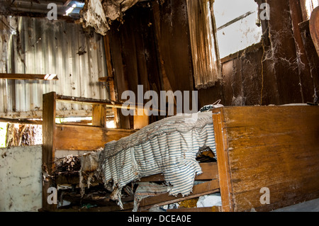 USA, Louisiana, Atchafalaya Basin, mit C. C. Lockwood, Bayou Sauerampfer abgeschnitten (Atchafalaya River), verlassen und nach Hause überflutet. Stockfoto