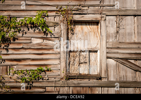 USA, Louisiana, Atchafalaya Basin Plaquemine, mit Brettern vernagelt Fenster verlassenen Schindeln Hauses. Stockfoto