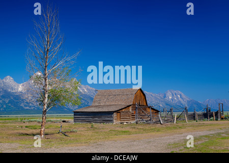 Die legendären John Moulton Gehöft in Grand Teton in Wyoming in den USA Stockfoto