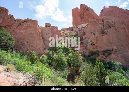 Garden of the Gods in Colorado Springs, Colorado Stockfoto
