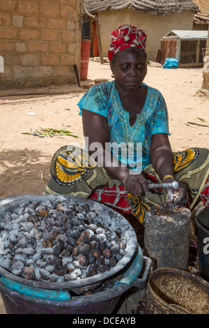 Dorf Frauen entfernen Rümpfe von Cashew-Nüssen, Nixo Dorf in der Nähe von Sokone, Senegal. Serer ethnische Gruppe. Stockfoto