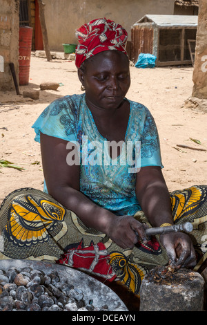 Dorf Frauen entfernen Rümpfe von Cashew-Nüssen, Nixo Dorf in der Nähe von Sokone, Senegal. Serer ethnische Gruppe. Stockfoto