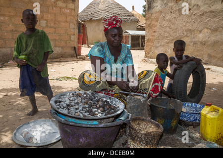 Dorf Frau entfernen Rümpfe von Cashew-Nüssen, Nixo Dorf in der Nähe von Sokone, Senegal. Serer ethnische Gruppe. Stockfoto