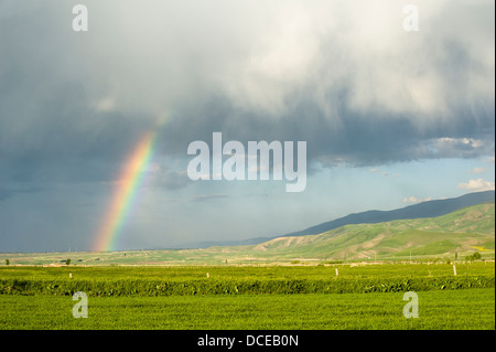 Regenbogen in den Himmel, Grasland von Xinjiang Stockfoto