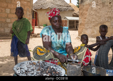 Dorf Frau entfernen Rümpfe von Cashew-Nüssen, Nixo Dorf in der Nähe von Sokone, Senegal. Serer ethnische Gruppe. Stockfoto