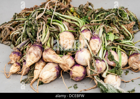 USA, Louisiana, Atchafalaya Basin, Houma (Terrabonne Parish), L & A Meeresfrüchte mit lokal produzierten Rüben (Herr & PR). Stockfoto