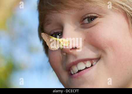 Ahorn, Ahorn Schlüssel, Hubschrauber, Polynoses, Whirlybirds, Obst, Samen, Flügelfrucht, Ahorn, Nasenzwicker, Ahornnase, Propeller Stockfoto