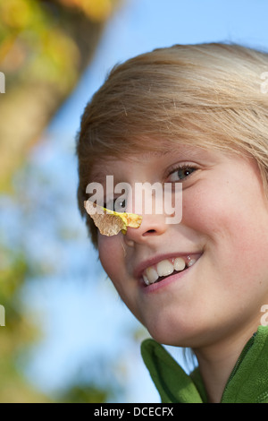 Ahorn, Ahorn Schlüssel, Hubschrauber, Polynoses, Whirlybirds, Obst, Samen, Flügelfrucht, Ahorn, Nasenzwicker, Ahornnase, Propeller Stockfoto